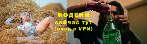 гидра Коряжма