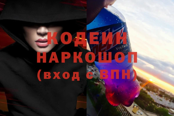 гидра Коряжма