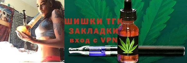 гидра Коряжма
