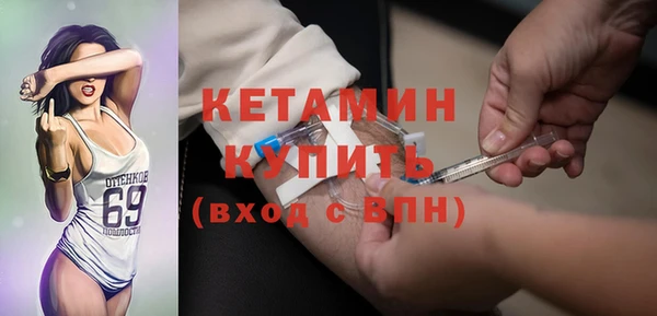 крисы Корсаков