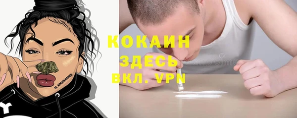 крисы Корсаков