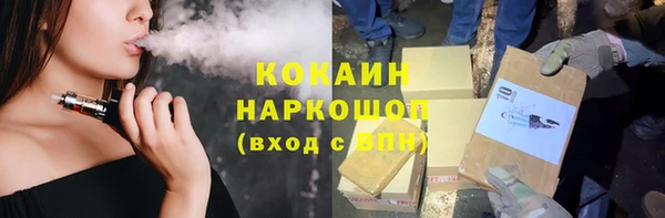 гидра Коряжма