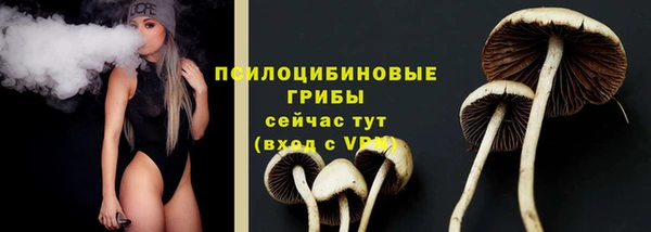 spice Костерёво