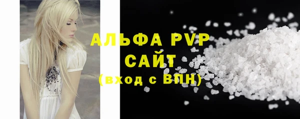гидра Коряжма