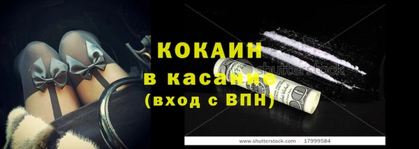 крисы Корсаков