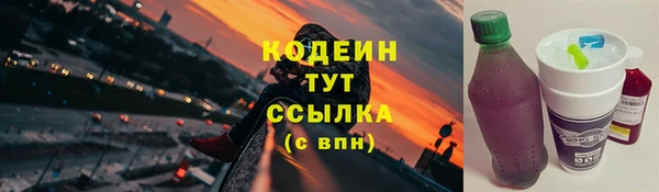 крисы Корсаков