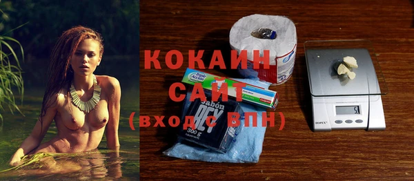 гидра Коряжма