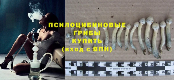 крисы Корсаков