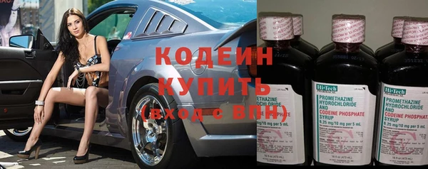 крисы Корсаков