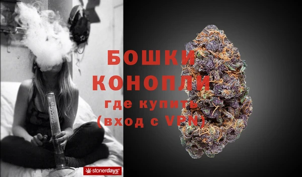 гидра Коряжма