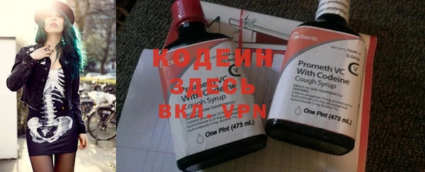 гидра Коряжма