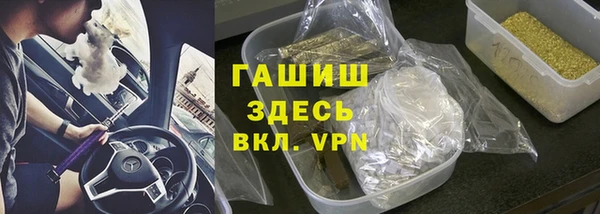 крисы Корсаков