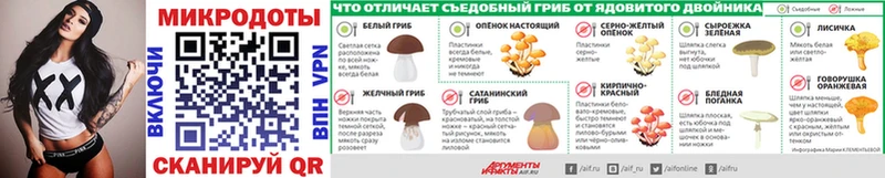 Псилоцибиновые грибы Psilocybe  Купить  Питкяранта 